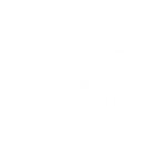 Polska Press Grupa